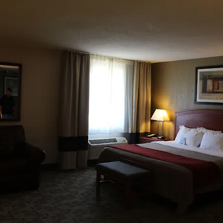 Comfort Inn Hastings-3