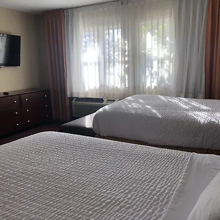 Ivy Court Inn And Suites-2