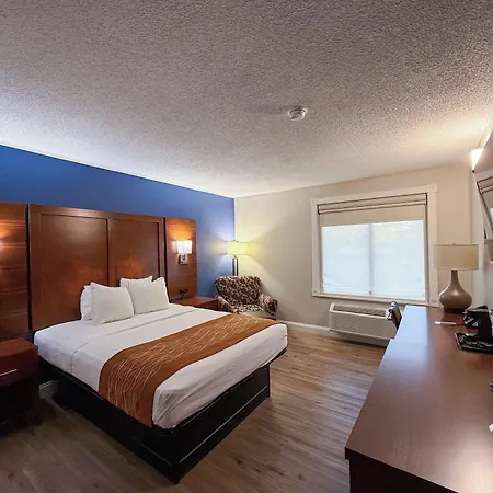 Comfort Inn & Suites Hazelwood - St Louis-3