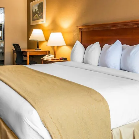 Quality Inn Southfield - Detroit-3