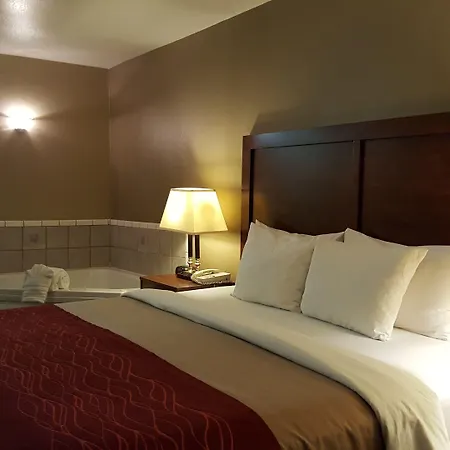 Comfort Inn & Suites Sequoia Kings Canyon-3