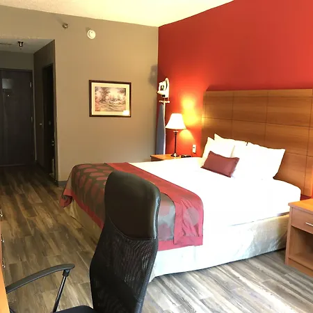 Ramada By Wyndham Pearl/Jackson Airport-2