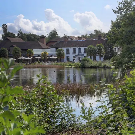 Frensham Pond Country House Hotel & Spa-3