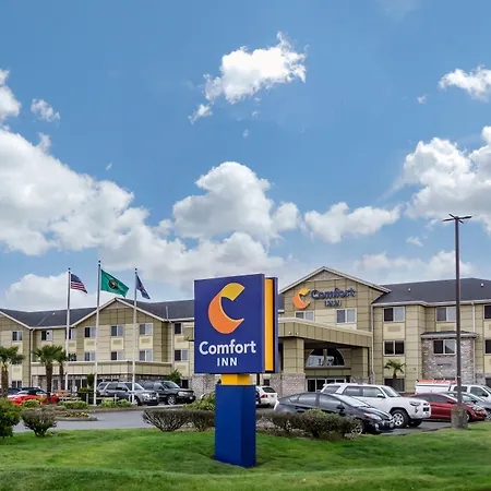 Comfort Inn Kent - Seattle-2