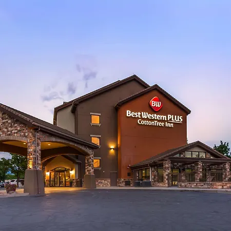 Best Western Plus Cotton Tree Inn-2