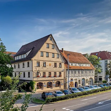 Ringhotel Gasthof Hasen-2