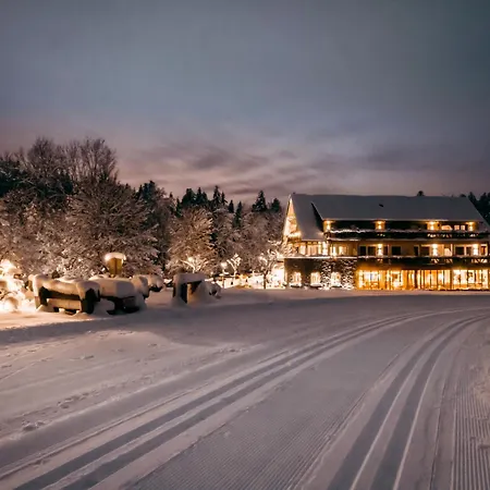 Hotel Grüner Wald-3