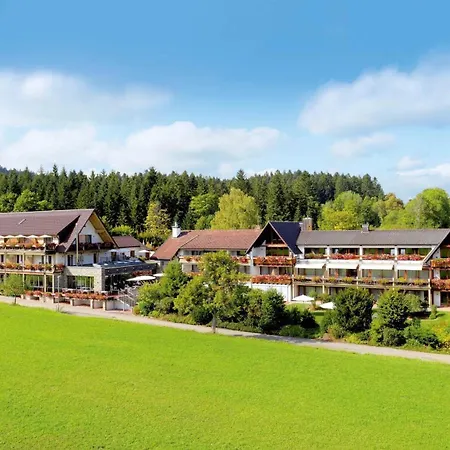 Hotel Grüner Wald-2