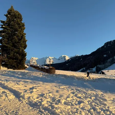 Le Rookie Mountain-3