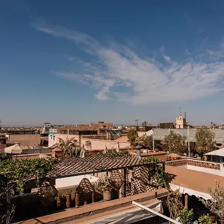 Riad White Flowers-3