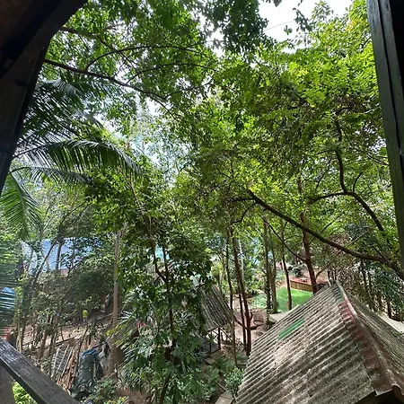Bambu Huts-2