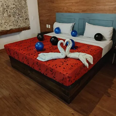 Hotel Sonno Plaza Allende-3