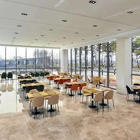 Ibis Styles Ambassador Incheon Airport T2-2