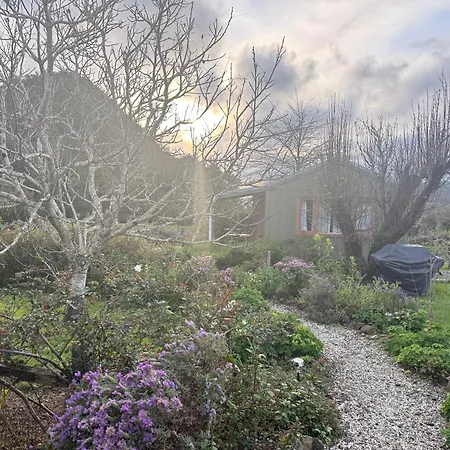 Wisteria Way-2