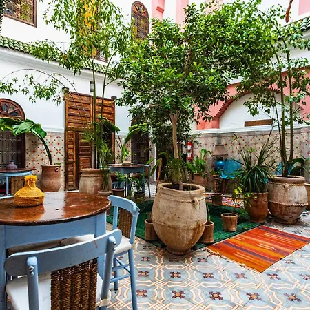 Riad Taghia-3