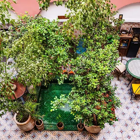 Riad Taghia-2