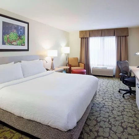 Hilton Garden Inn Minneapolis Eagan-2