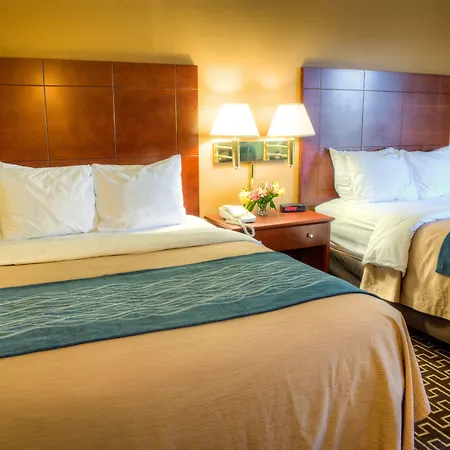 Best Western Milton Inn-3
