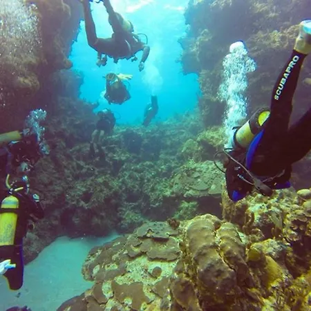 Green Turtle Club Resort & Marina-3