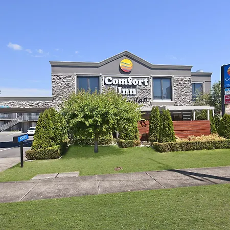 Comfort Inn On Raglan-2