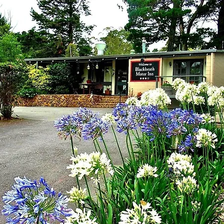 Blackheath Motor Inn-3