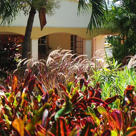 Blue Horizons Garden Resort-3