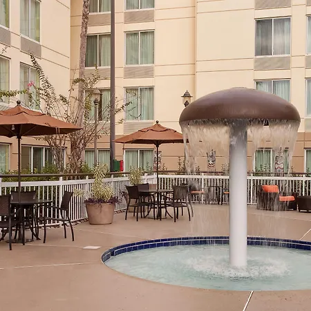 Hilton Garden Inn Orlando Airport-3