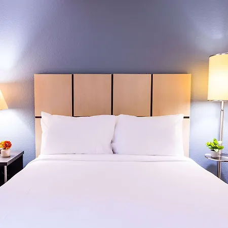 Sonesta Simply Suites Naperville Warrenville-3