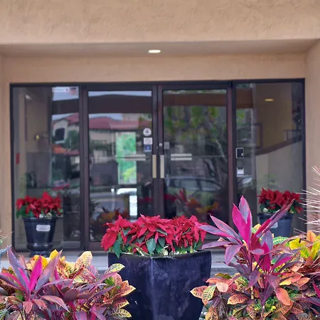 Destiny Palms Hotel Maingate West-3