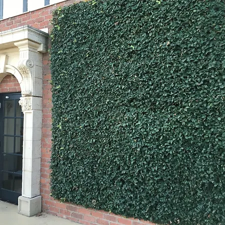 Albury Manor House-2