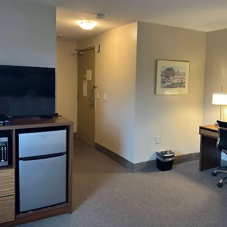 Super 8 By Wyndham Guelph-2
