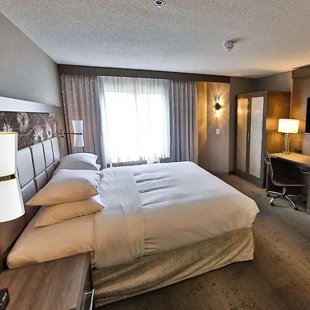 Doubletree By Hilton Hotel Atlanta-Alpharetta-2