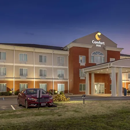 Comfort Inn Us Hwy 80-3