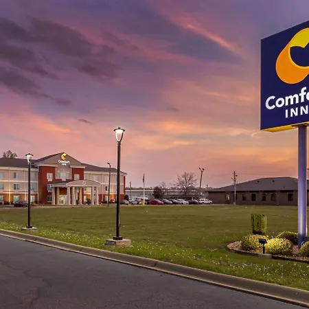 Comfort Inn Us Hwy 80-2