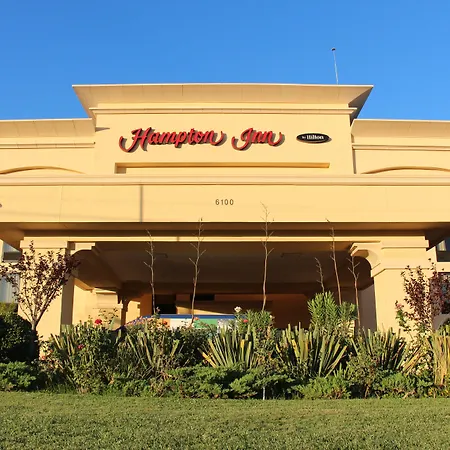 Hampton By Hilton Chihuahua-2