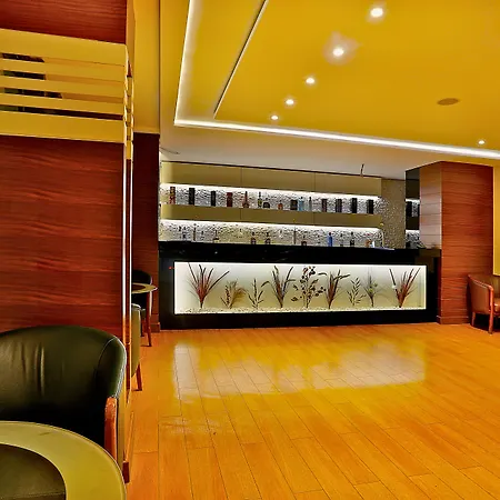 Grand Madrid Hotel-2