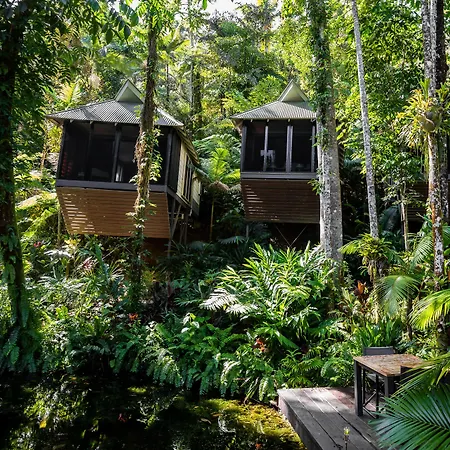 Daintree Ecolodge-3