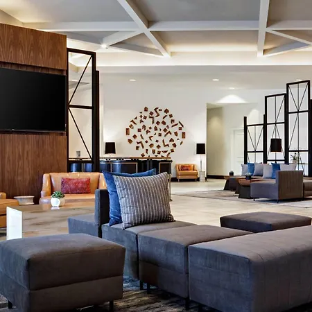 Marriott Dallas Las Colinas-3