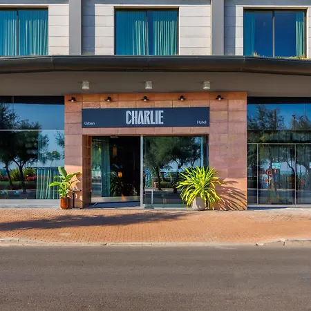 Charlie In Pesaro-3