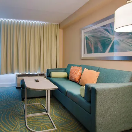 Springhill Suites By Marriott Orlando Lake Buena Vista South-2