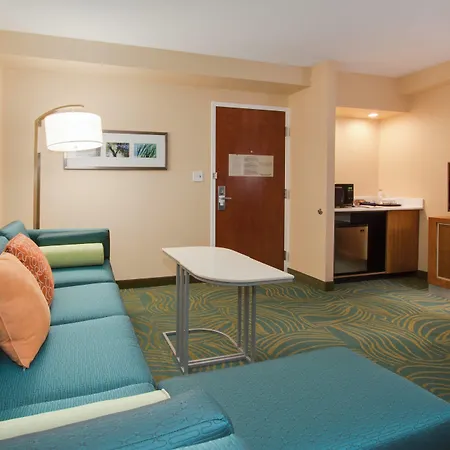 Springhill Suites By Marriott Orlando Lake Buena Vista South-3