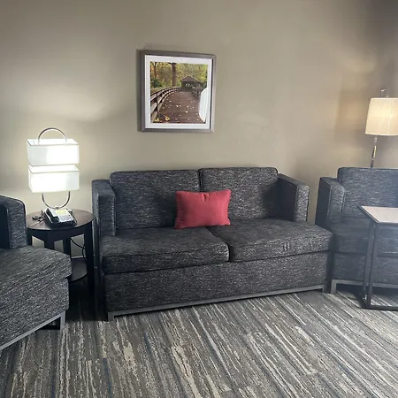 Comfort Inn & Suites Toledo North-2