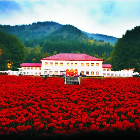 The Lalit Grand Palace Srinagar-3