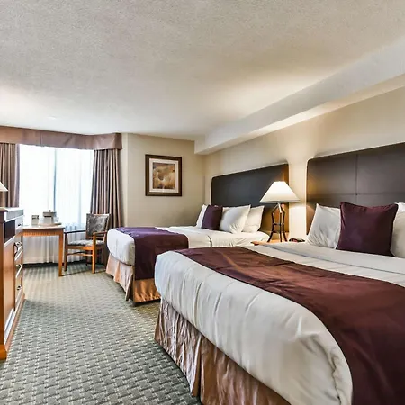 Best Western Plus Cambridge Hotel-3