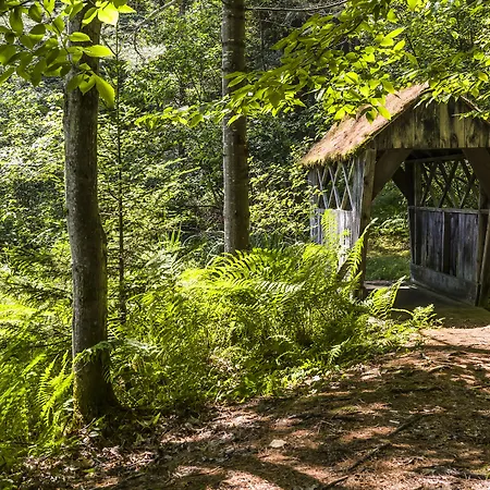 Bluebird Cady Hill Lodge-2