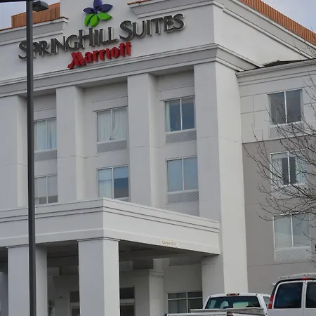 Springhill Suites Pittsburgh Monroeville-2