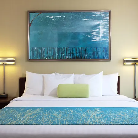 Springhill Suites Los Angeles Lax/Manhattan Beach-3