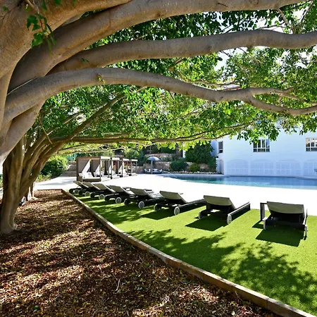 Salles Hotels Marina Portals-3