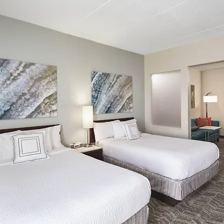 Springhill Suites By Marriott Chicago Schaumburg/Woodfield Mall-3