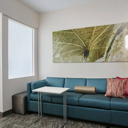 Springhill Suites By Marriott Chicago Schaumburg/Woodfield Mall-2